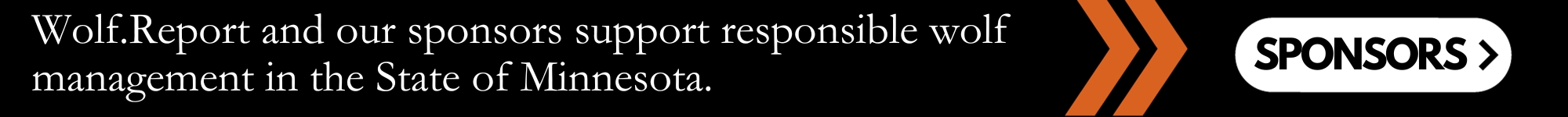 Wolf.Report sponsors