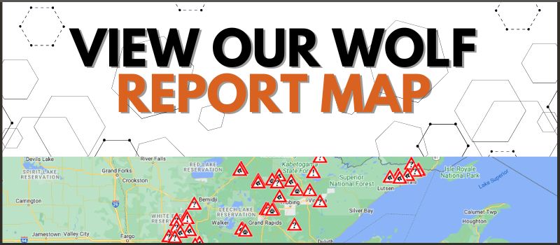 Minnesota Wolf Sightings Map