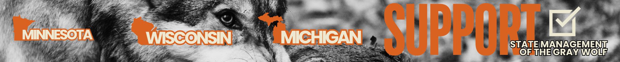 Minnesota, Wisconsin, Michigan Wolf Management Petition
