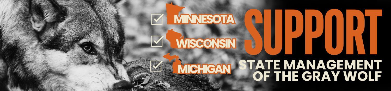 Minnesota Wolf Hunting Petition
