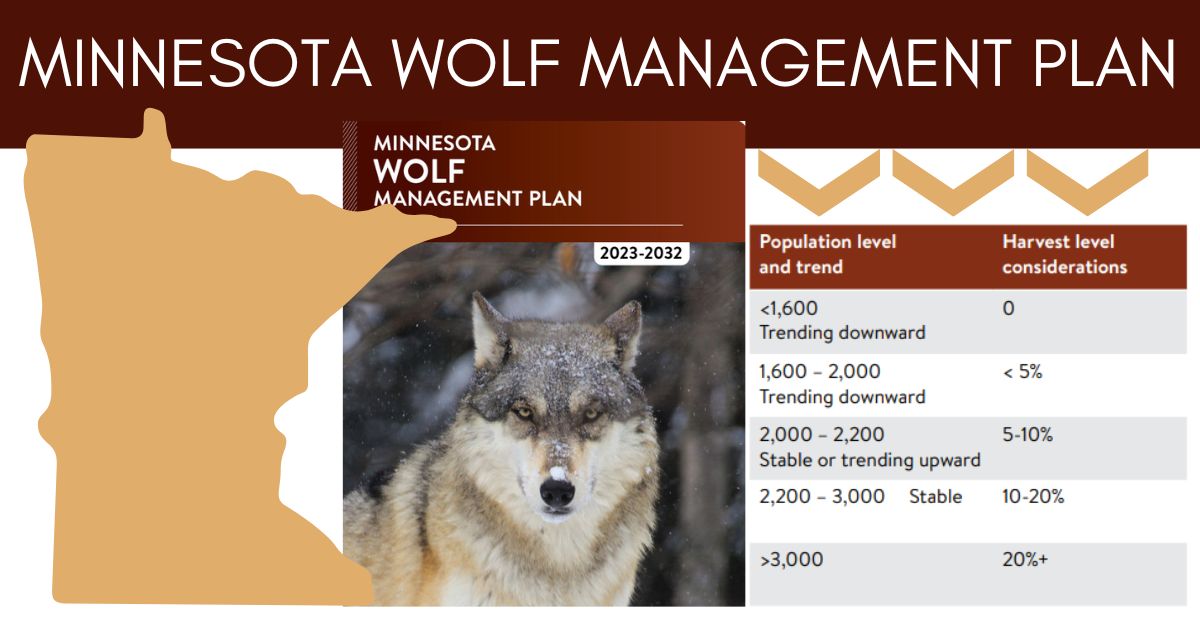 Minnesota Wolf Management Plan