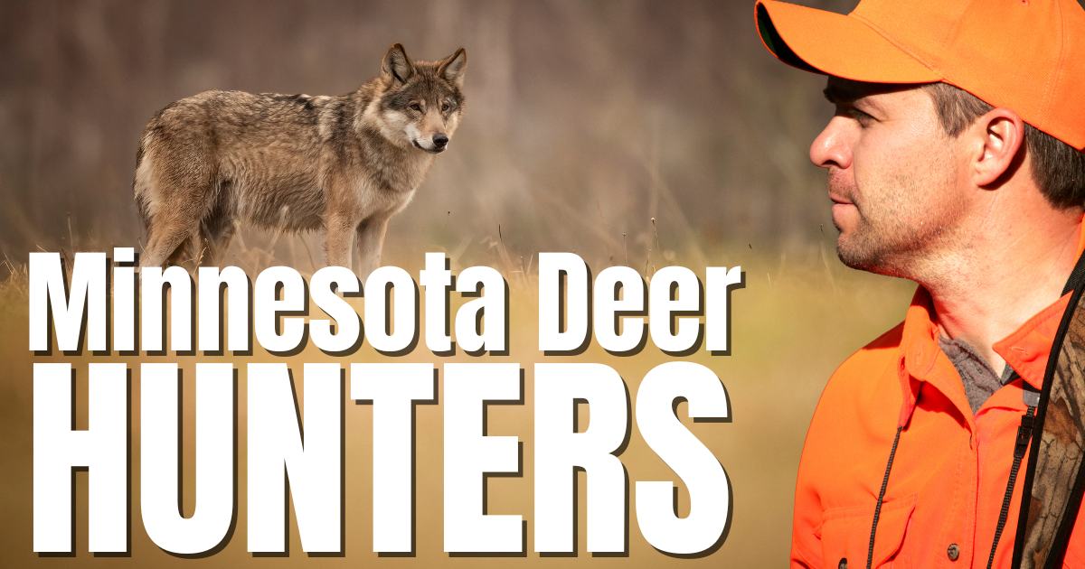 Minnesota Deer Hunting