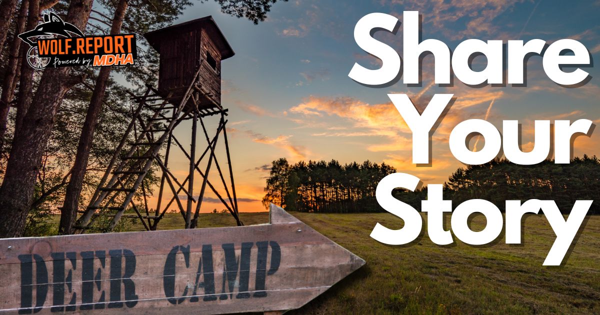 How have wolves changed your hunting in Minnesota?