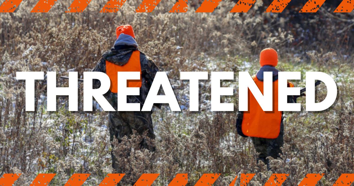 Protect Deer Hunting In Minnesota