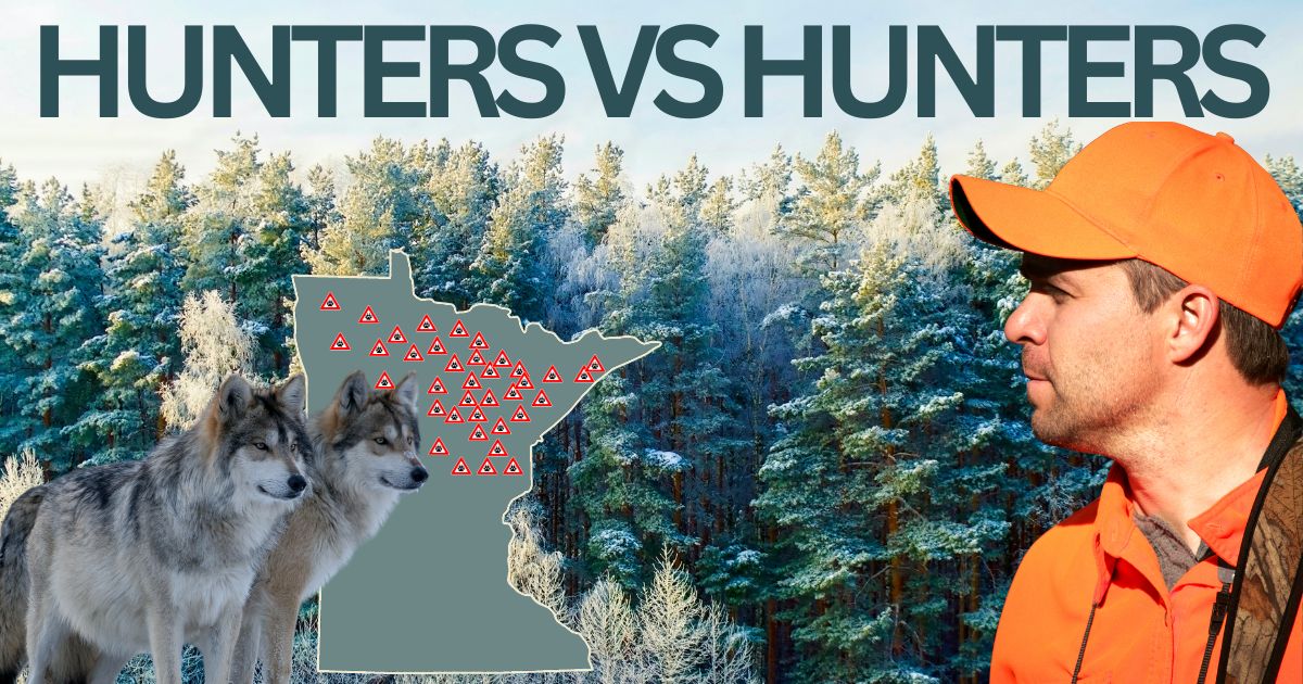 Hunters vs Hunters In Minnesota Wolf Battle